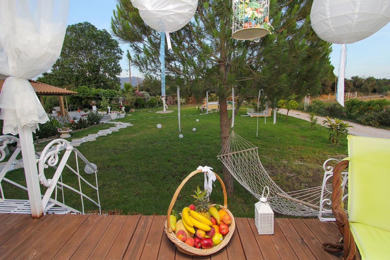 Kouros Resort Kalamákion Exteriér fotografie