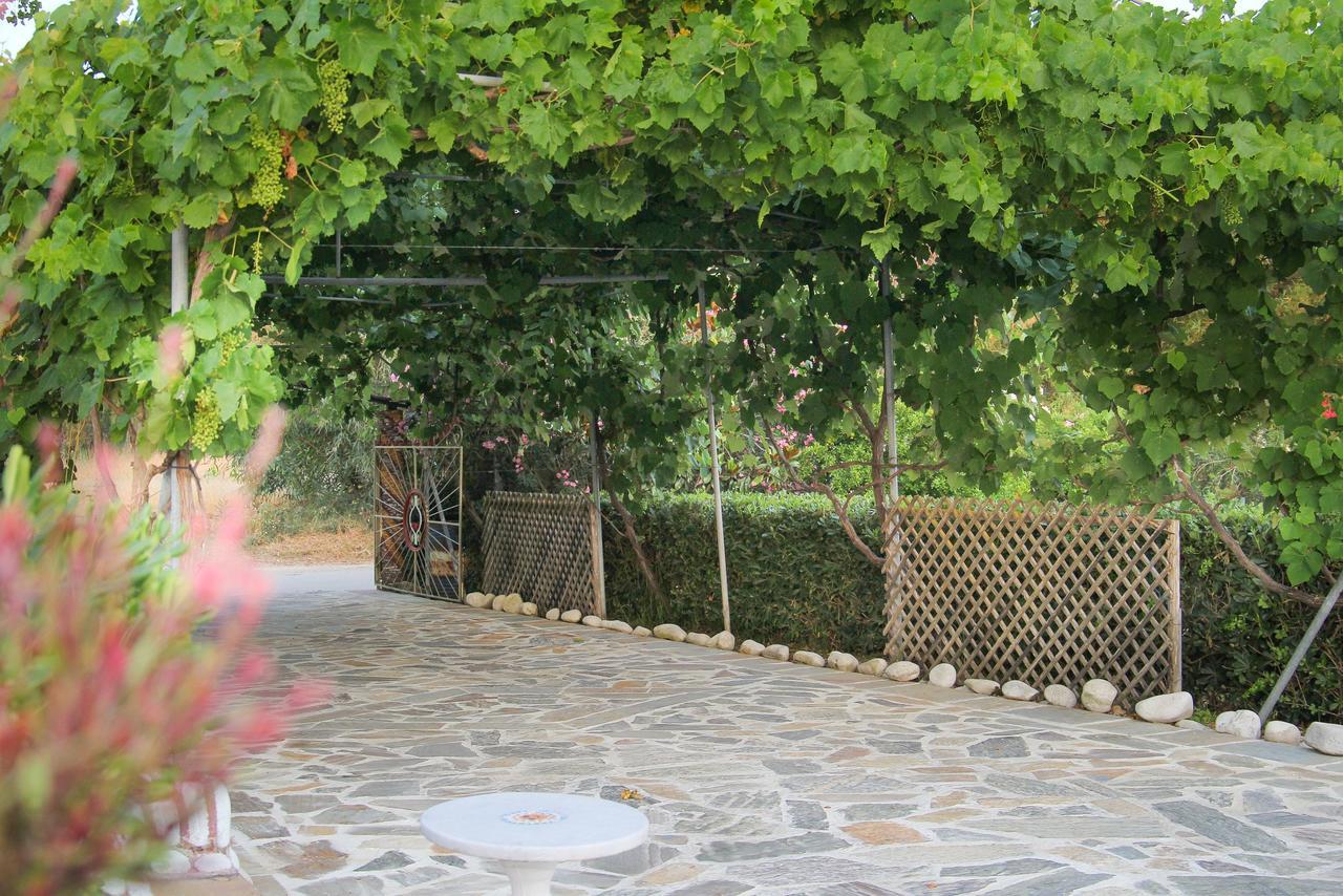 Kouros Resort Kalamákion Exteriér fotografie